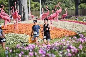 BIB: 
                            <button type="button" onclick="openModal(27794267)" class="btn btn-primary btn-sm float-right btn-popup" data-toggle="modal" data-target=".modal-high-quality">
                        <i class="fas fa-shopping-cart"></i> Add to Cart
                    </button>
                                            <button type="button" onclick="isThisMe(27794267, true)" class="btn btn-success btn-sm float-right btn-popup btn-isme hidden" data-toggle="tooltip" data-placement="bottom" title="นี่คือรูปของคุณใช่ไหม คลิกที่นี่เพื่อเอาเข้าอัลบั้ม">
                        <i class="fas fa-plus"></i> Add to album
                    </button>
                    <button type="button" onclick="isThisMe(27794267, false)" class="btn btn-warning btn-sm float-right btn-popup btn-isnotme hidden">
                        <i class="fas fa-ban"></i> Remove from album
                    </button>